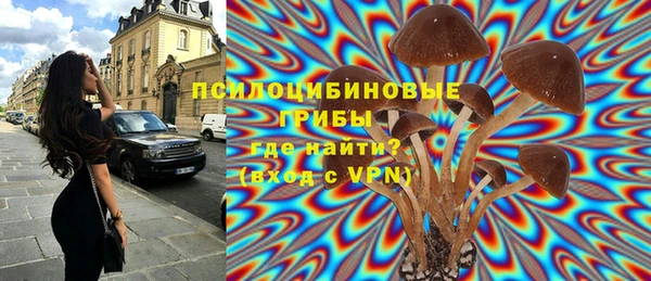 скорость Кукмор