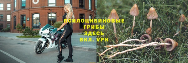 скорость Кукмор