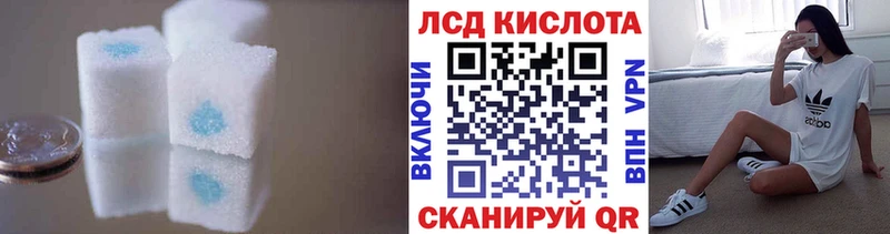 darknet Telegram  Сортавала  ЛСД экстази ecstasy 